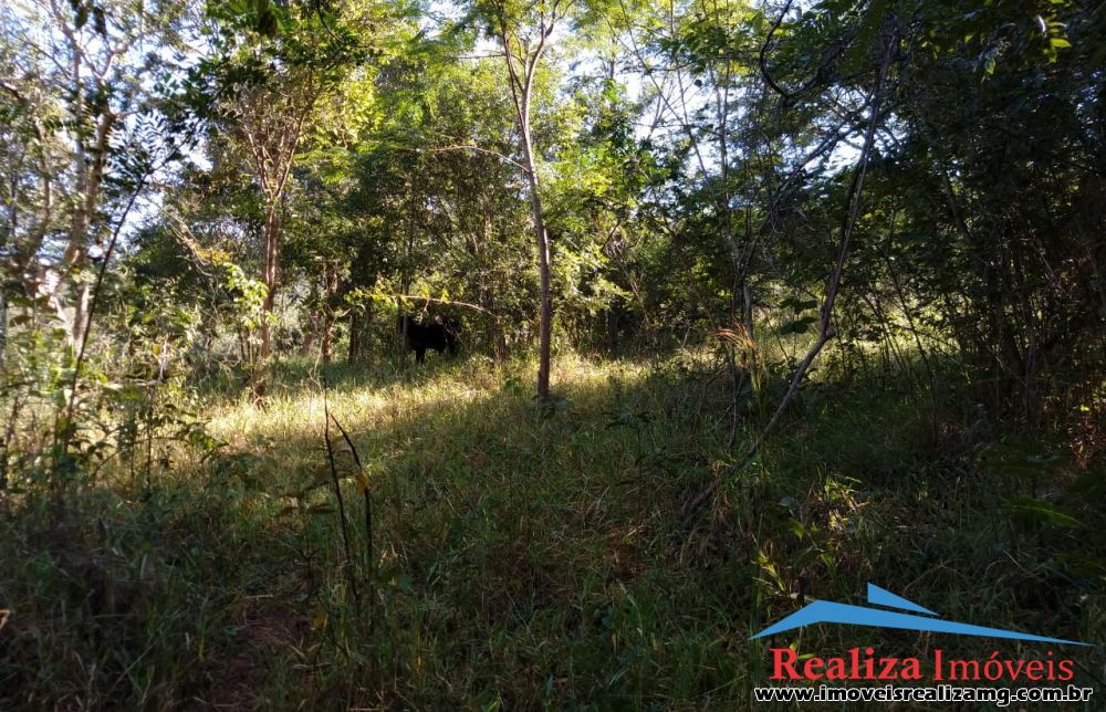 Lote para Comprar em Zona Rural - Pará de Minas - MG