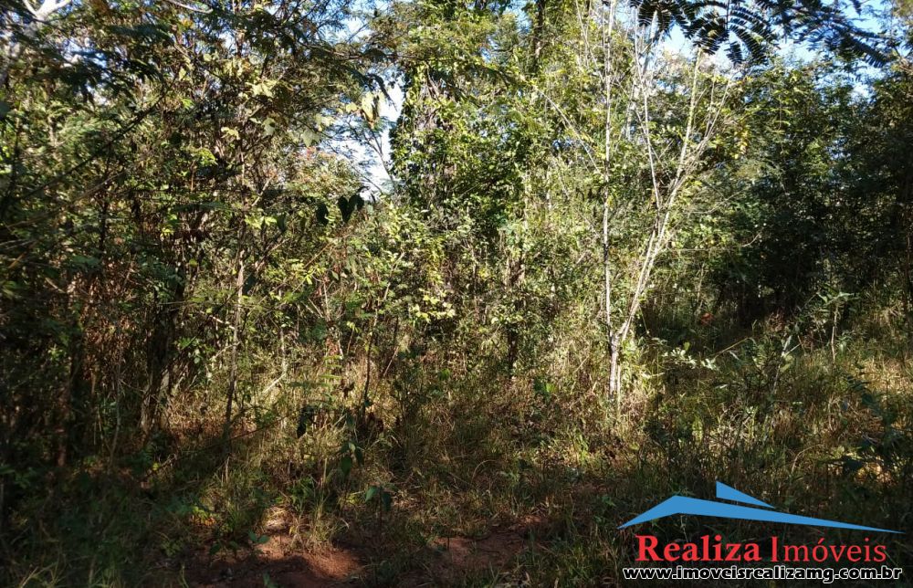 Lote para Comprar em Zona Rural - Pará de Minas - MG