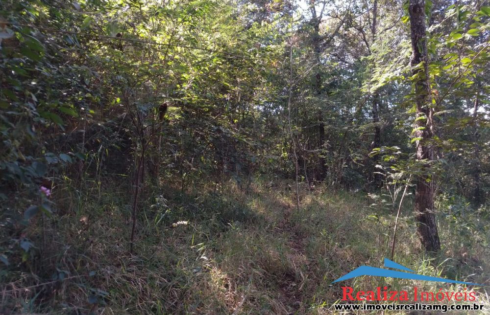 Lote para Comprar em Zona Rural - Pará de Minas - MG
