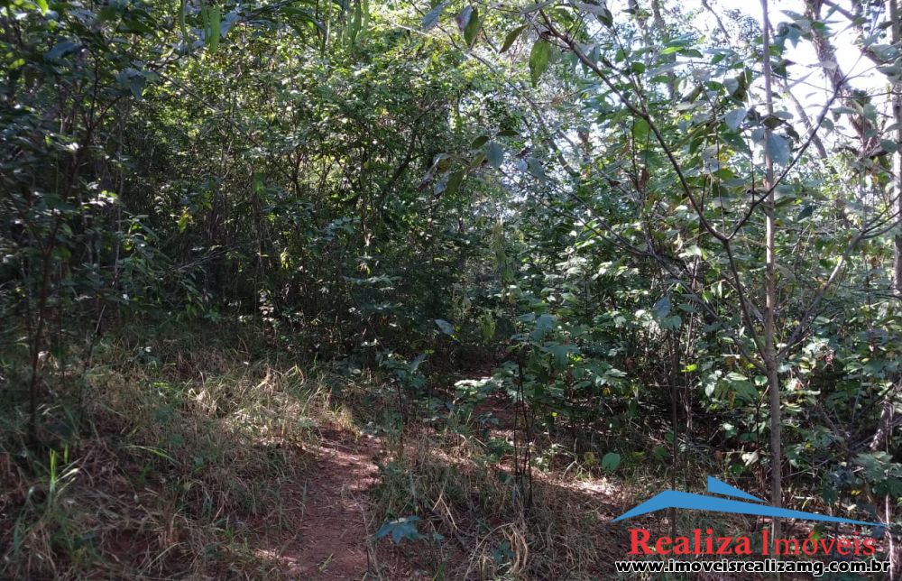 Lote para Comprar em Zona Rural - Pará de Minas - MG