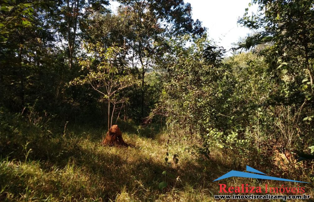 Lote para Comprar em Zona Rural - Pará de Minas - MG