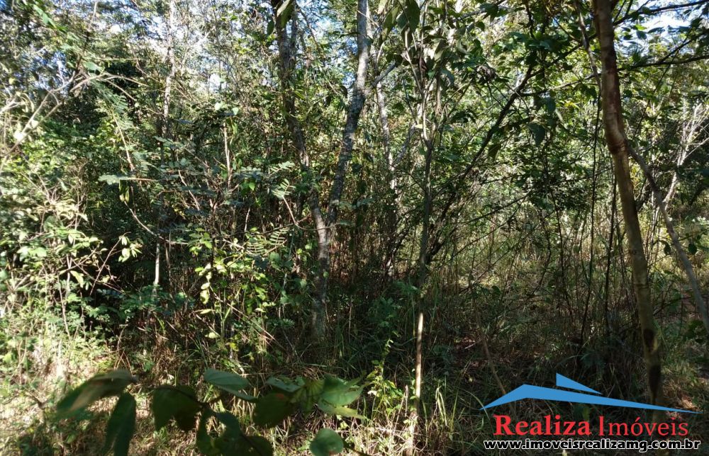 Lote para Comprar em Zona Rural - Pará de Minas - MG