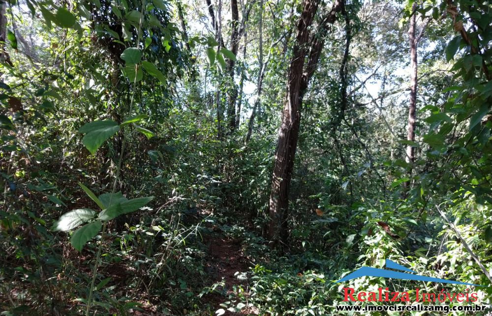Lote para Comprar em Zona Rural - Pará de Minas - MG