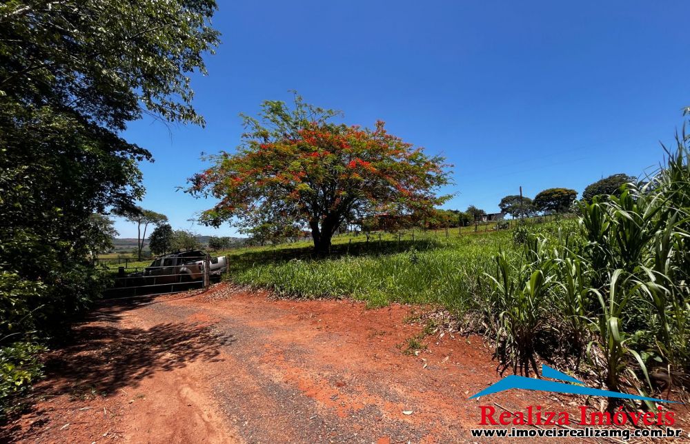 Foto Imóvel 1135