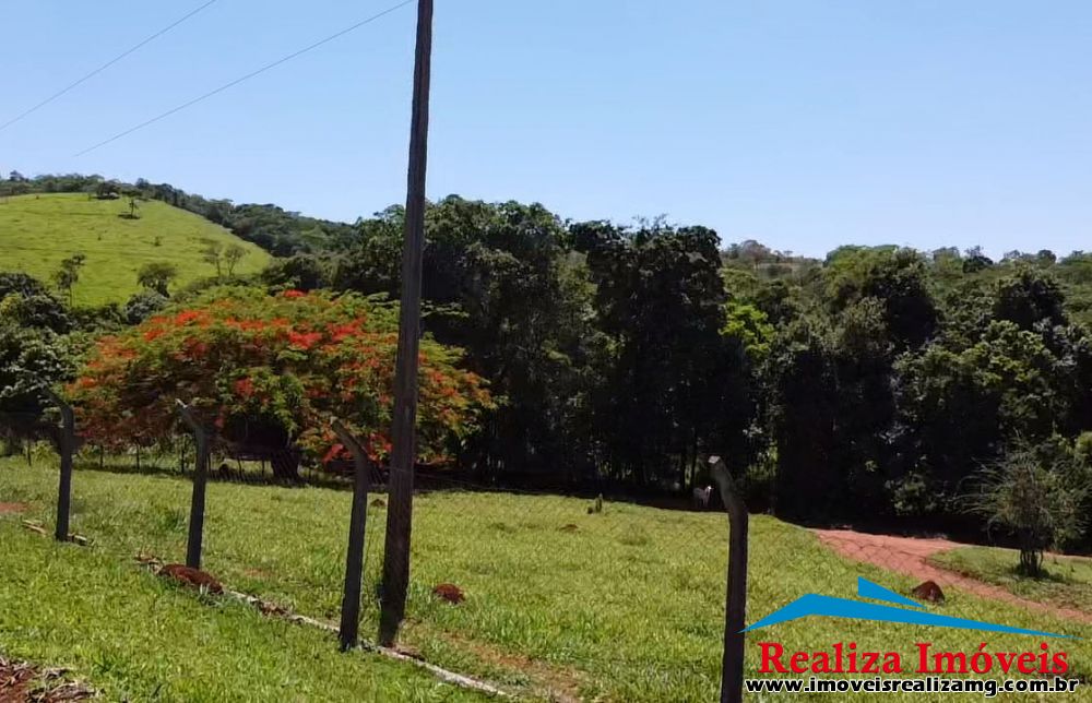 Foto Imóvel 1135