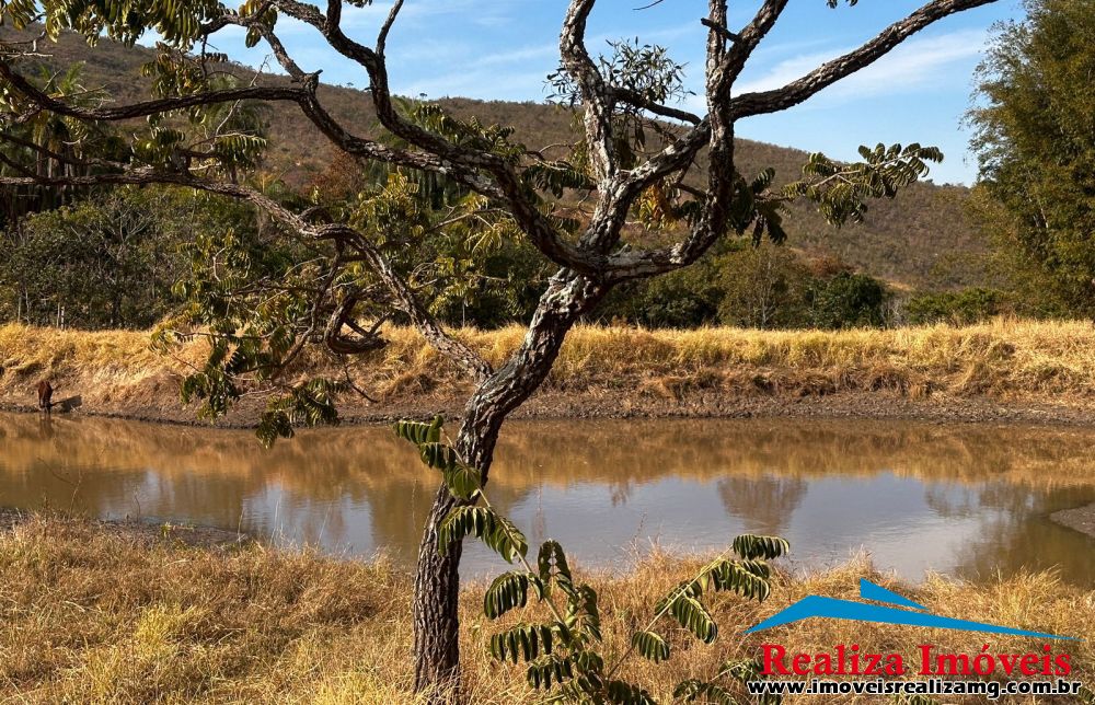 Fazenda a venda em Maravilhas