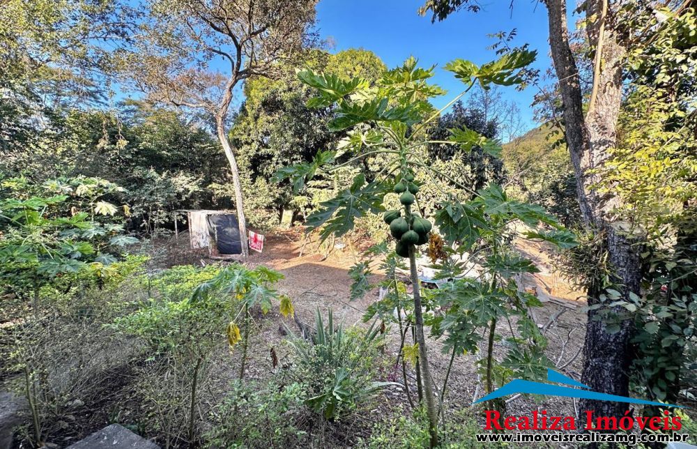 Foto Imóvel 1281