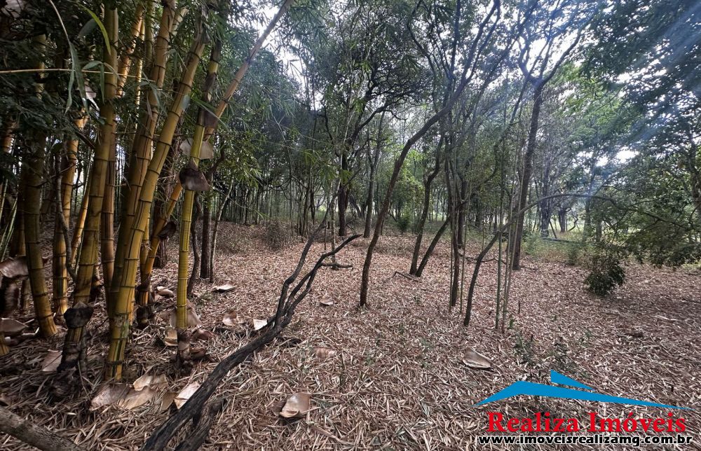 Foto Imóvel 1359