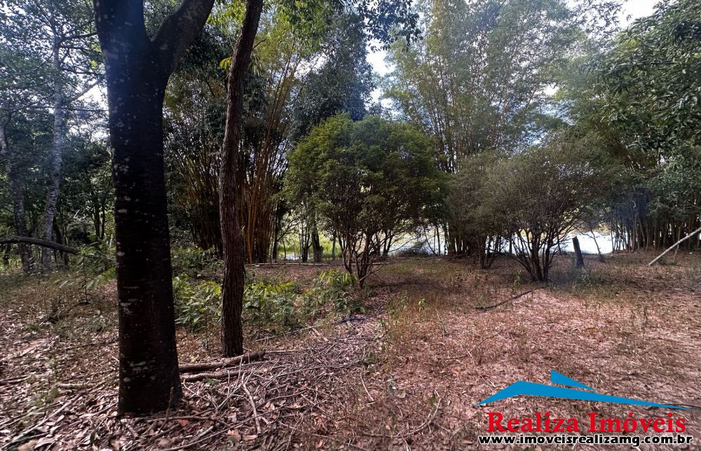 Foto Imóvel 1359