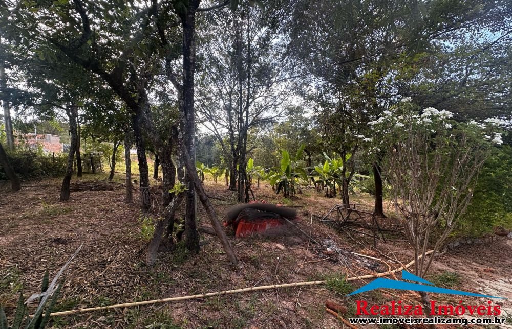 Foto Imóvel 1359