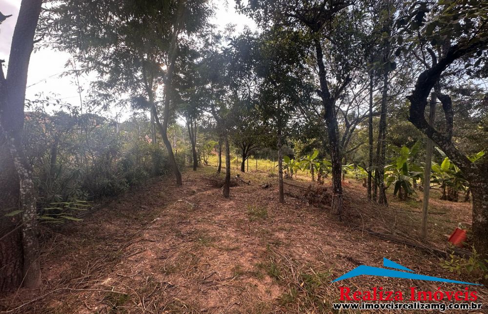 Foto Imóvel 1359