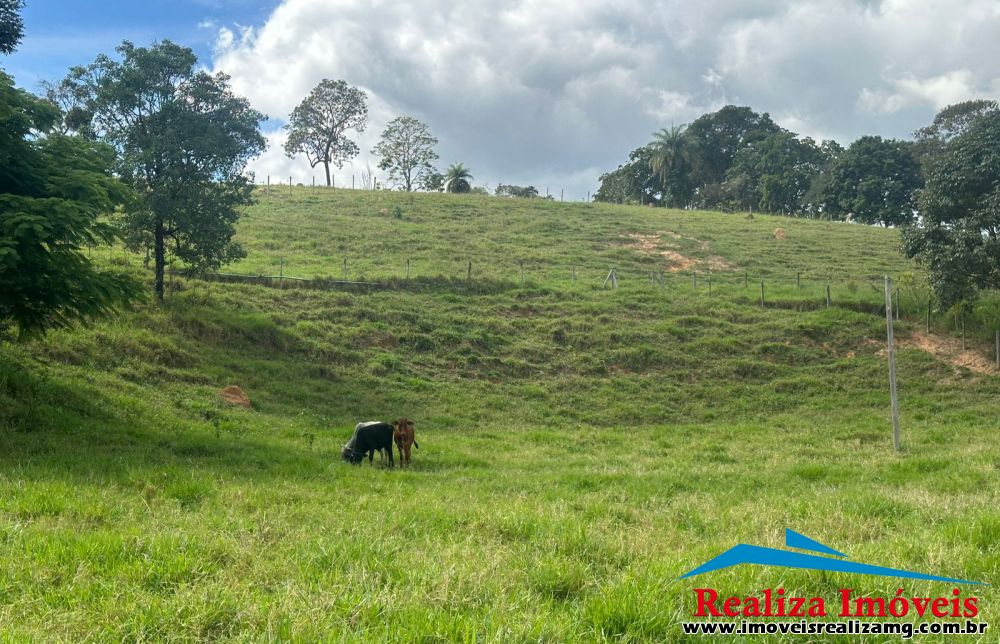 Foto Imóvel 1422