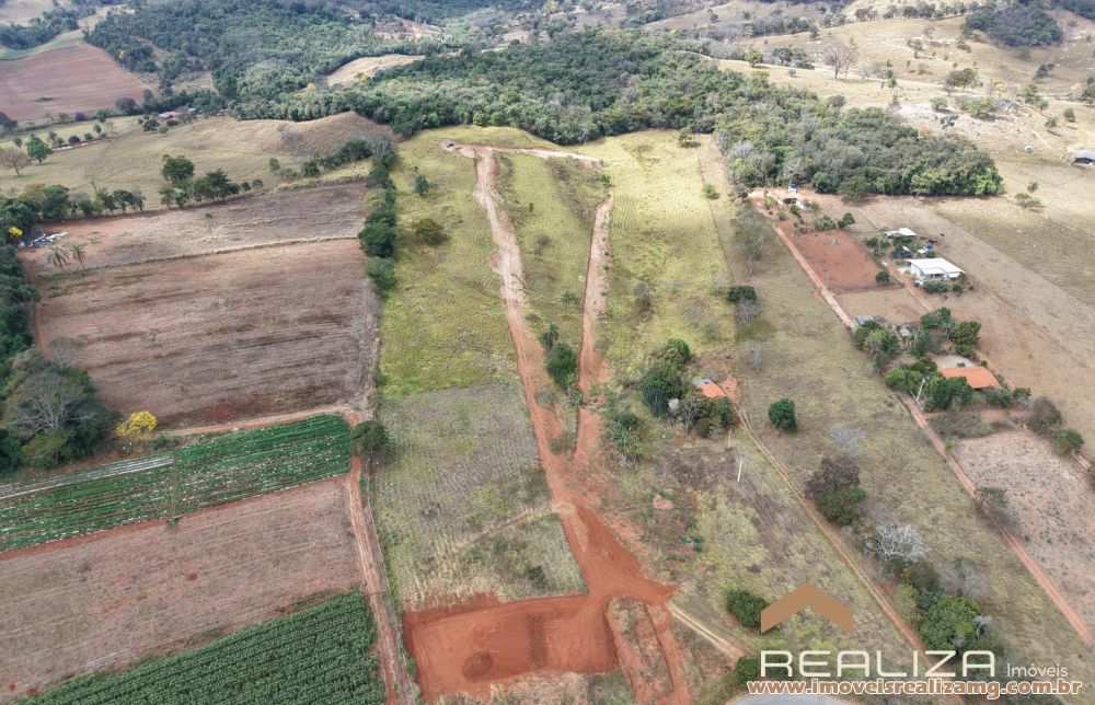 Foto Im&oacute;vel 1551