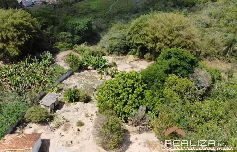 Foto Im&oacute;vel 1565