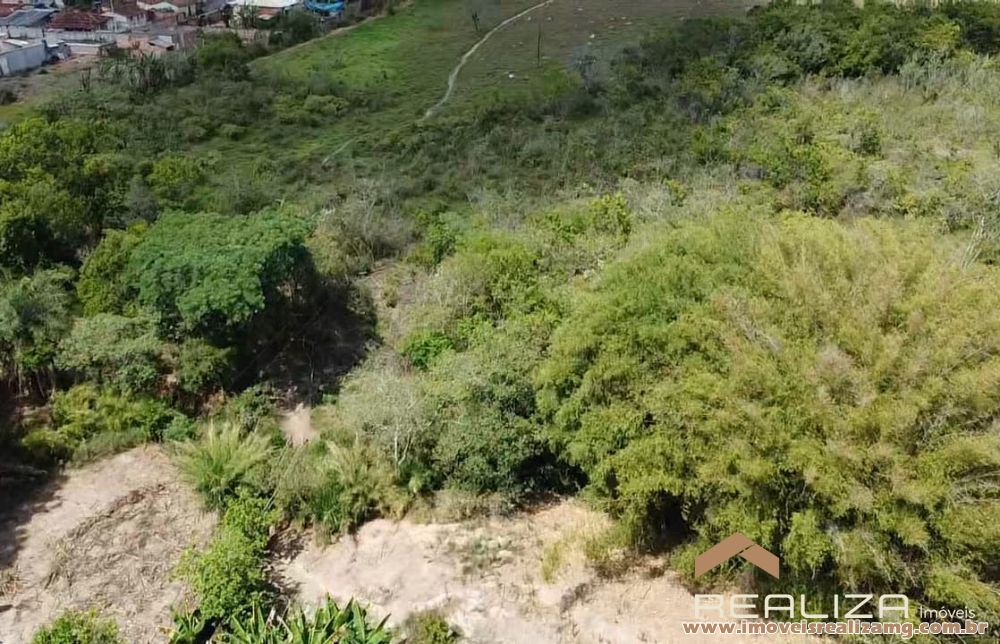 Foto Im&oacute;vel 1565