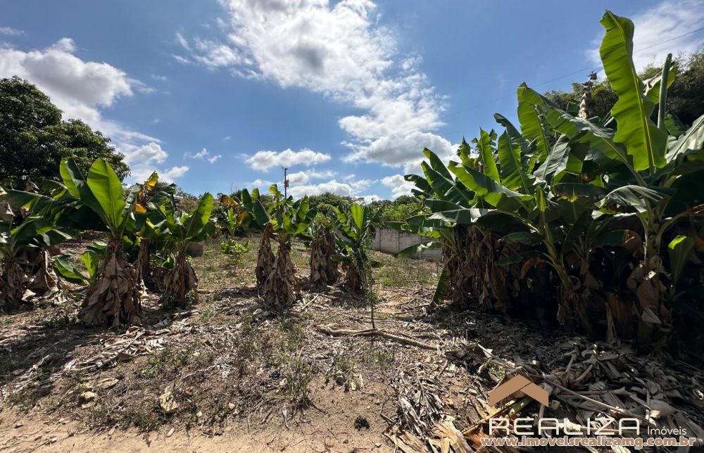 Foto Im&oacute;vel 1565