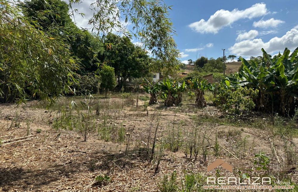 Foto Im&oacute;vel 1565