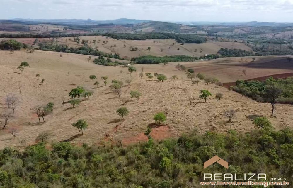 Foto Im&oacute;vel 1566