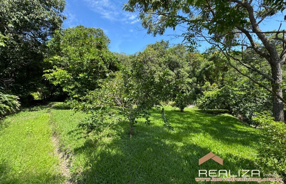 Foto Im&oacute;vel 1609