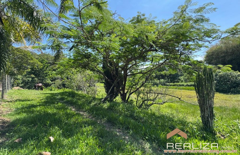 Foto Im&oacute;vel 1609