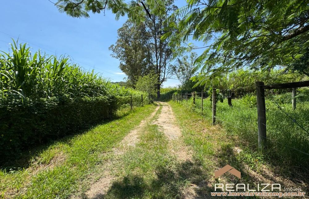 Foto Im&oacute;vel 1609