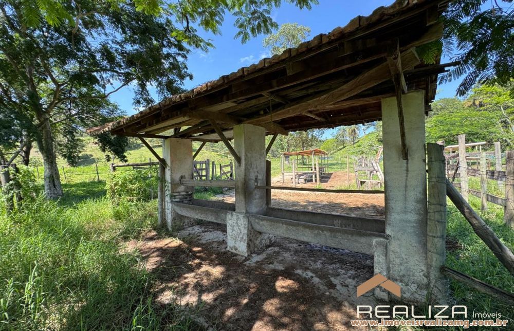 Foto Im&oacute;vel 1609