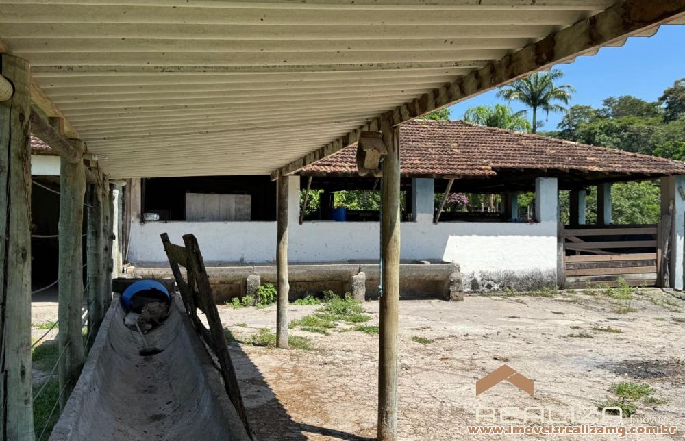 Foto Im&oacute;vel 1609