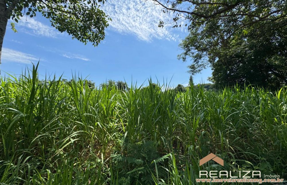 Foto Im&oacute;vel 1609