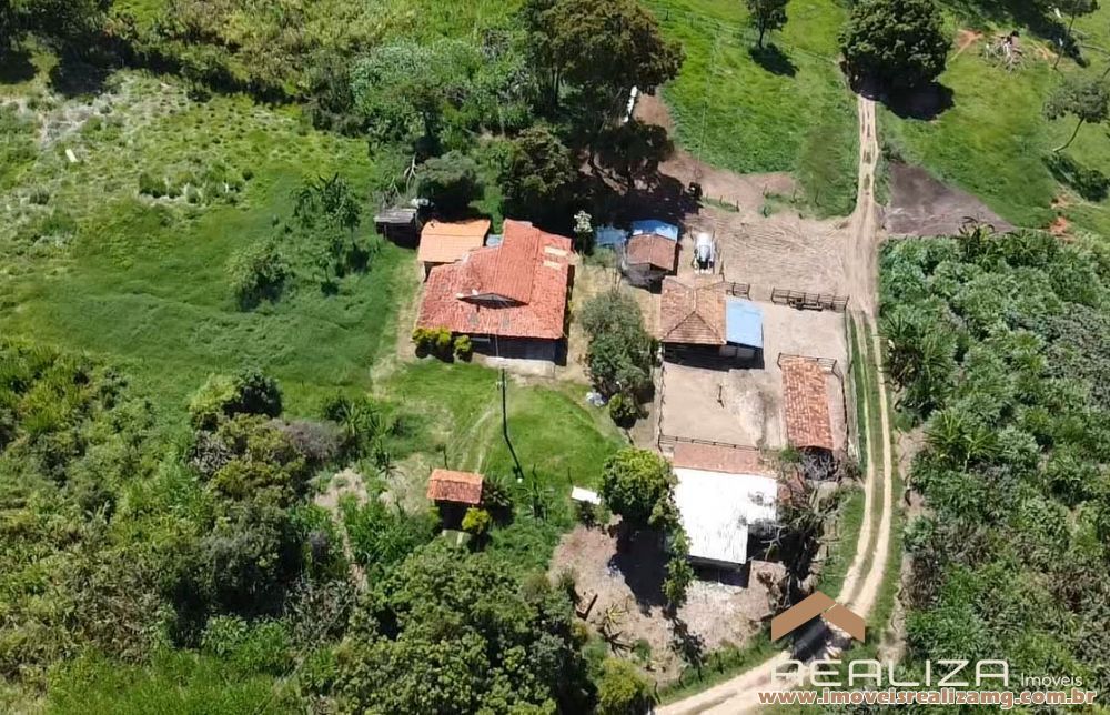 Fazenda a venda em Florestal