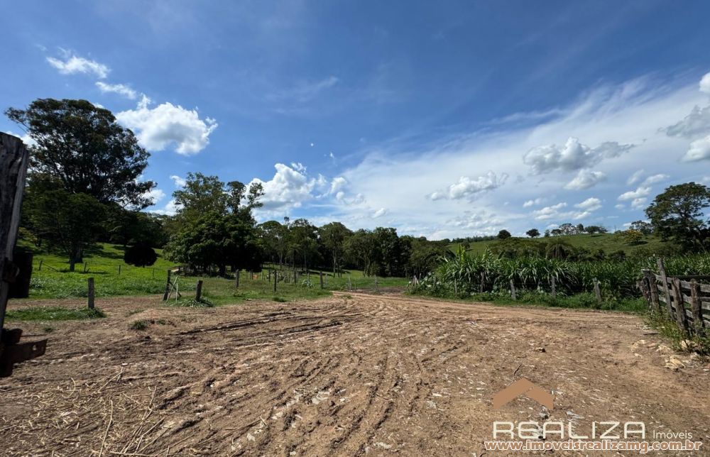 Foto Im&oacute;vel 1613