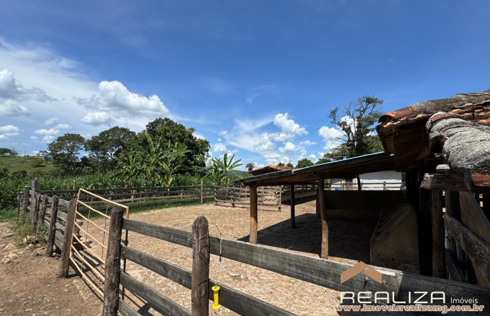 Foto Im&oacute;vel 1613