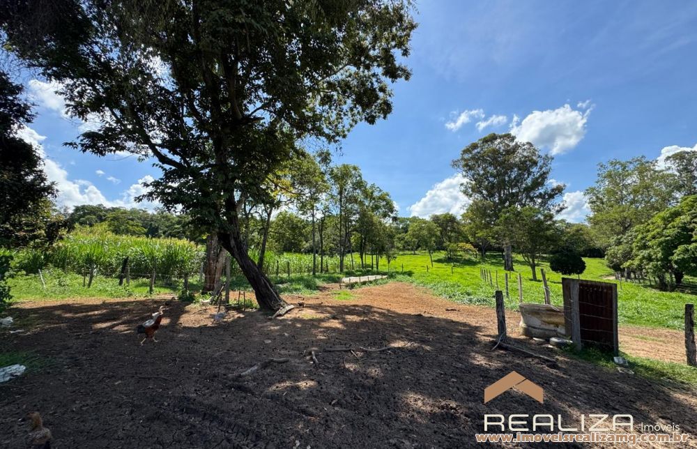 Foto Im&oacute;vel 1613