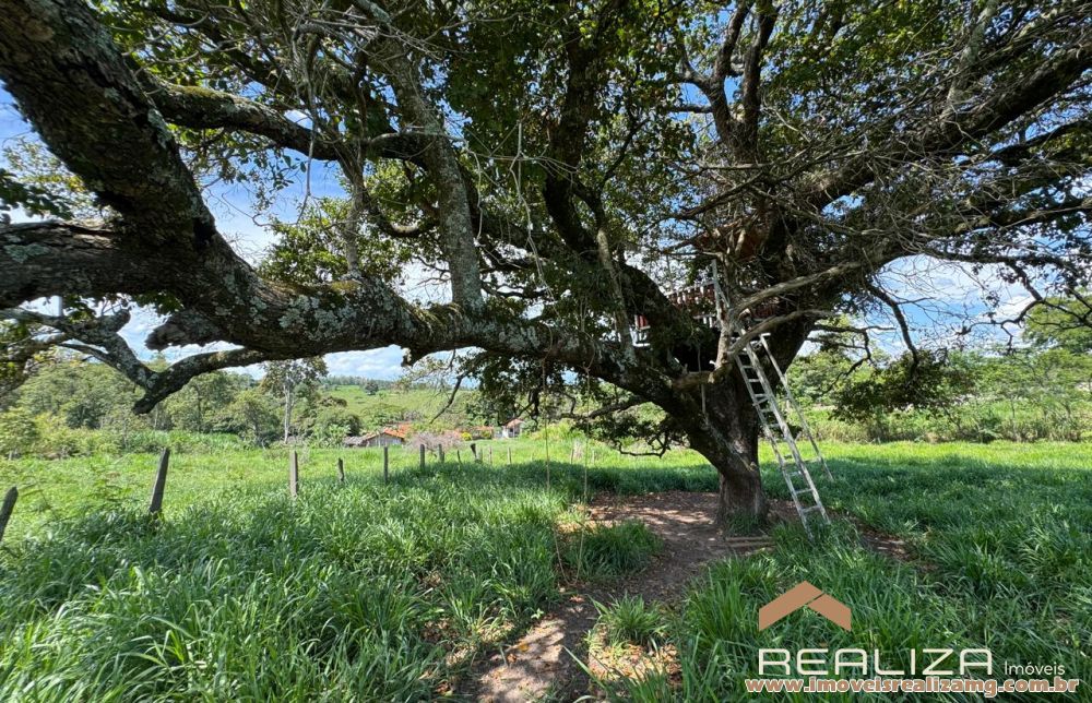 Foto Im&oacute;vel 1613