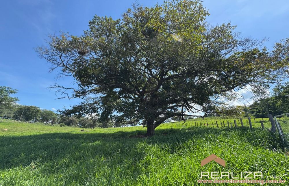 Foto Im&oacute;vel 1613