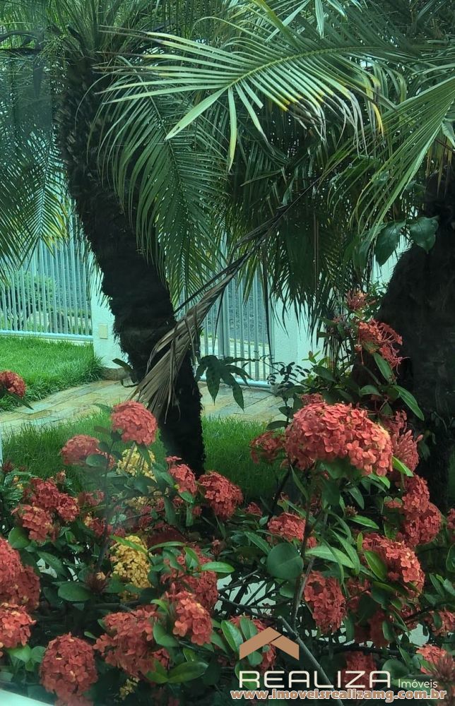 Foto Im&oacute;vel 1623