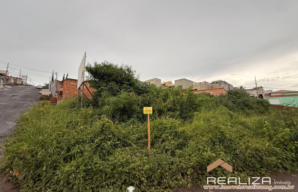 Foto Im&oacute;vel 1638