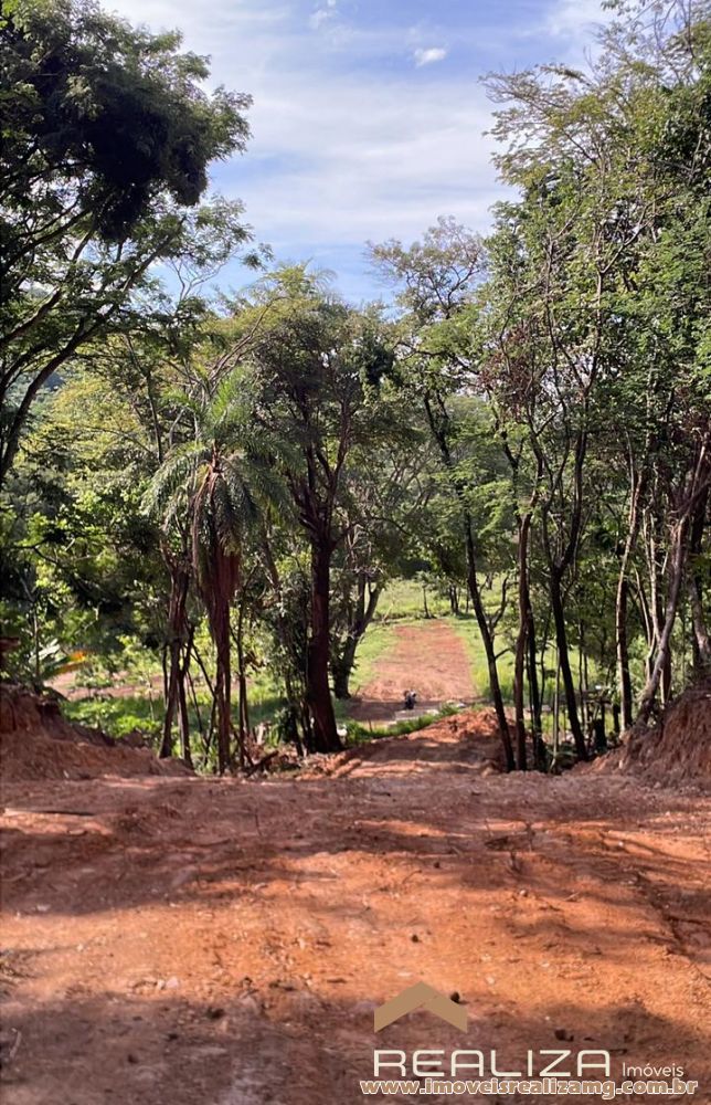 Foto Im&oacute;vel 1641