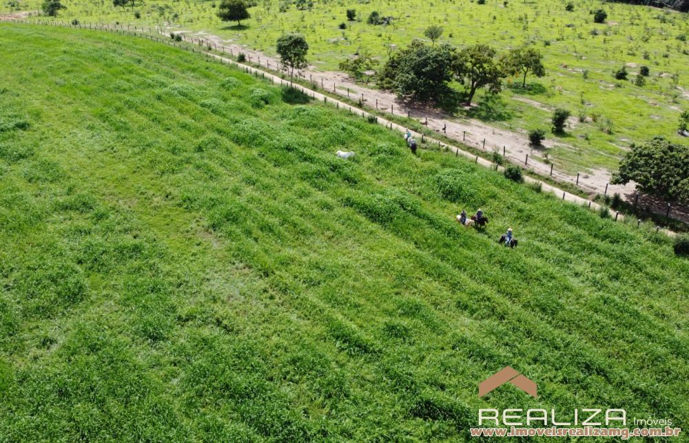 Foto Im&oacute;vel 1645