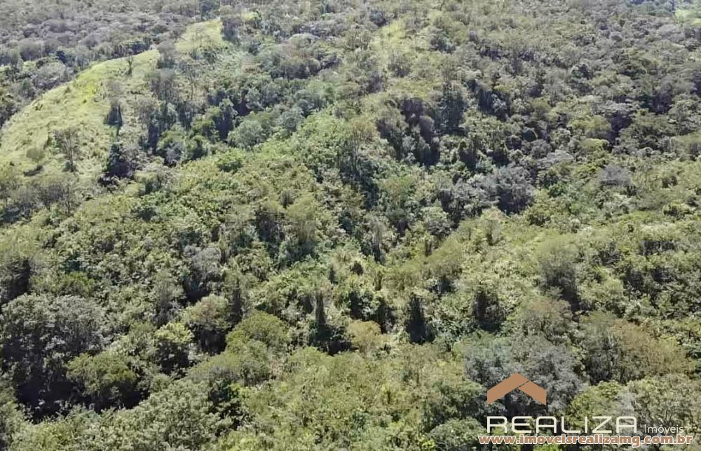 Foto Im&oacute;vel 1654