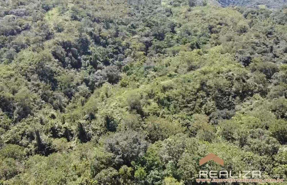 Foto Im&oacute;vel 1654