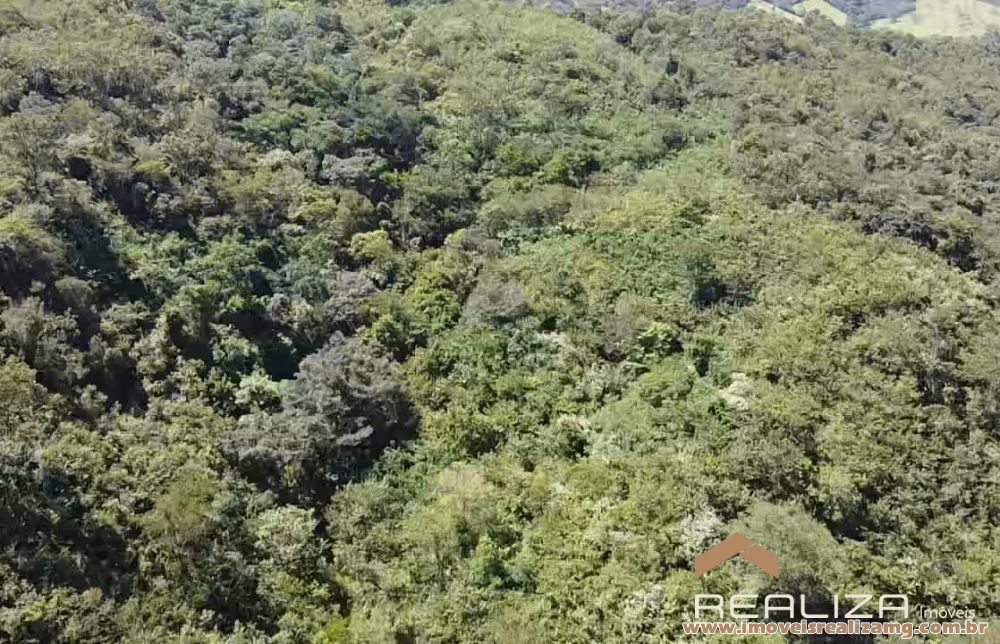 Foto Im&oacute;vel 1654