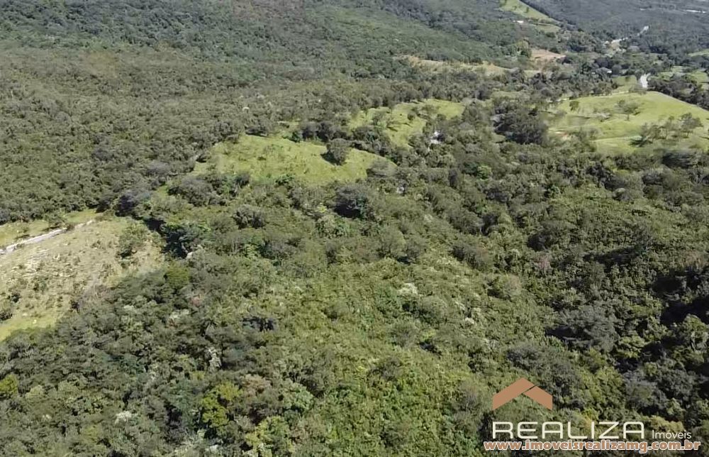 Foto Im&oacute;vel 1654