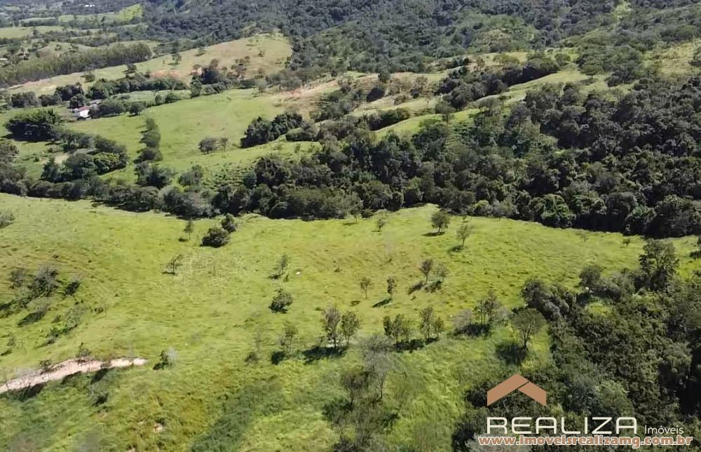 Foto Im&oacute;vel 1654