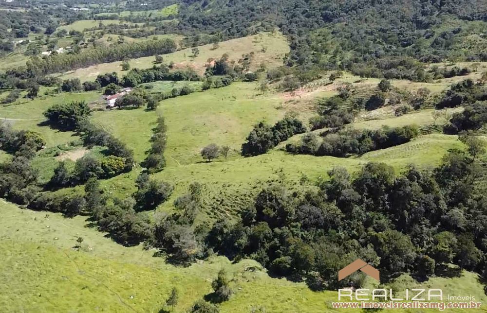 Foto Im&oacute;vel 1654