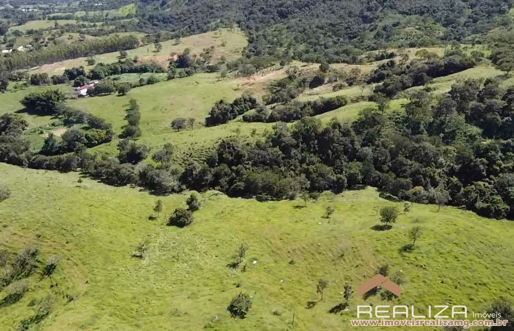 Foto Im&oacute;vel 1654