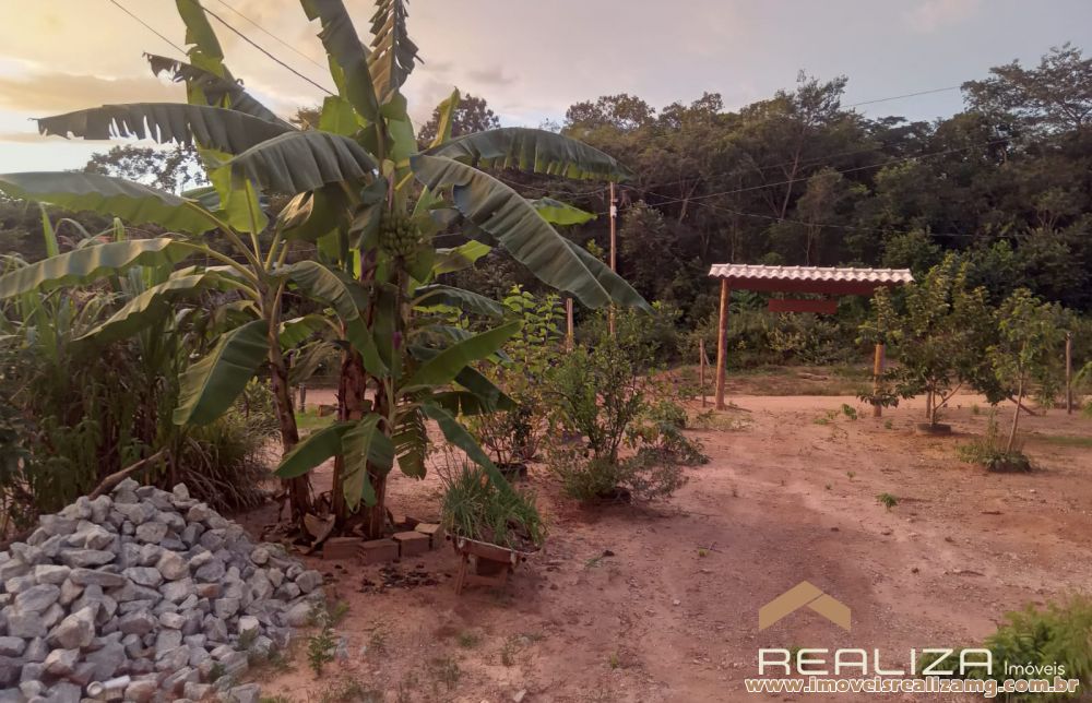 Foto Im&oacute;vel 1655