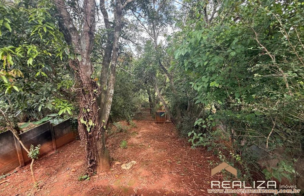 Foto Im&oacute;vel 1656