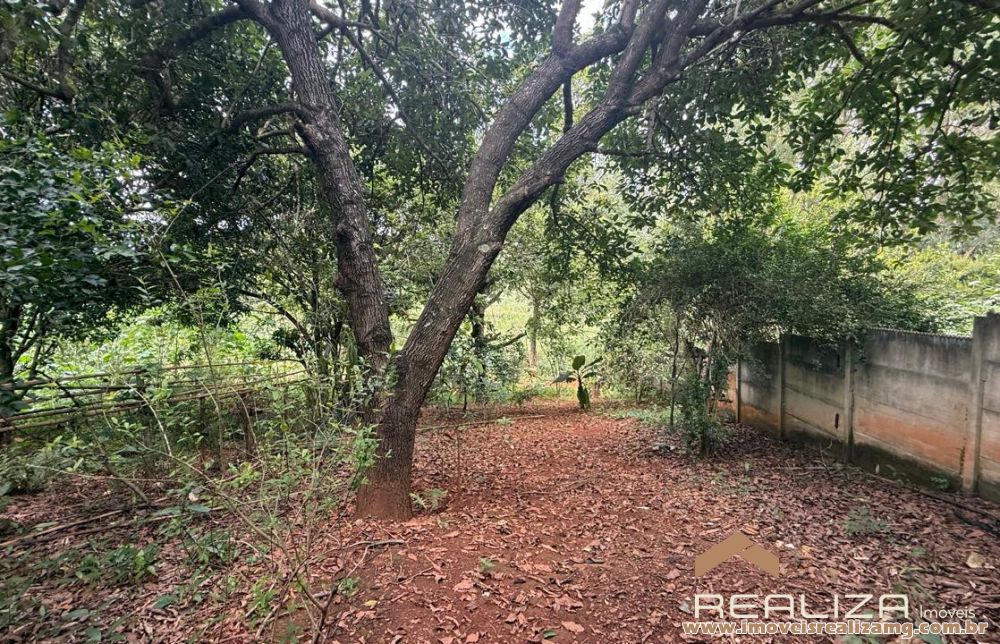 Foto Im&oacute;vel 1656