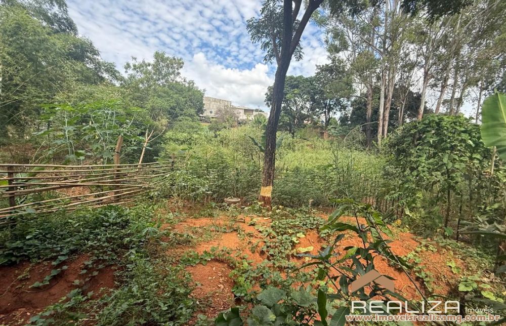 Foto Im&oacute;vel 1656