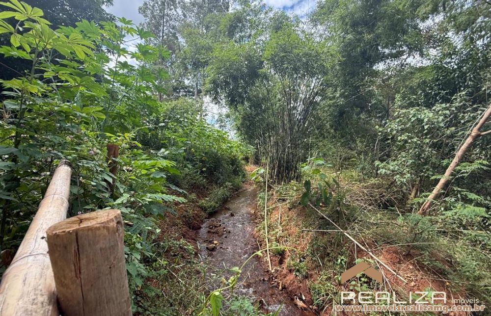 Foto Im&oacute;vel 1656